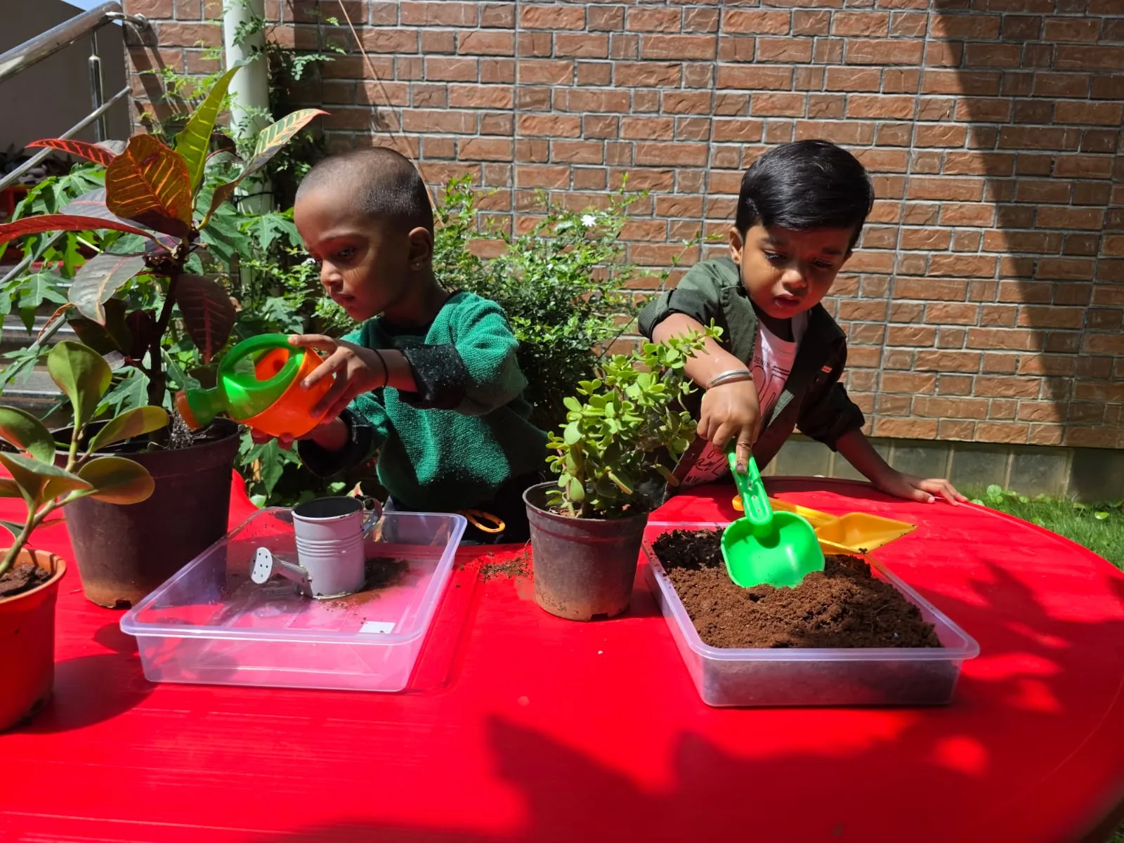 Children gardening