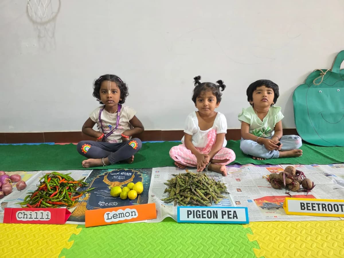 Vegetable identification activity — chilli, lemon, beetroot